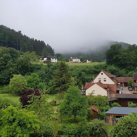 Landhotel Zur Wegelnburg Schonau  Экстерьер фото